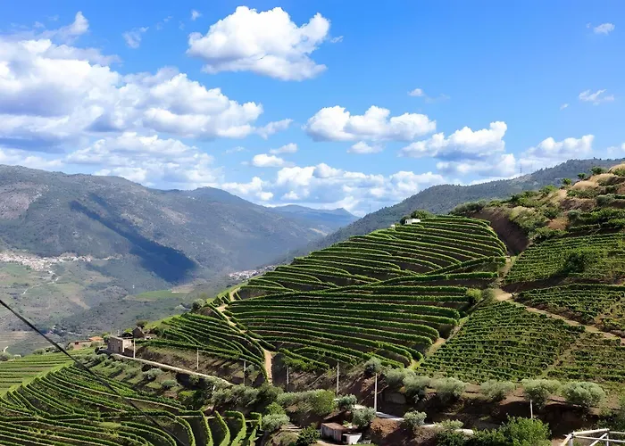 아파트 Casa Da Quelha *